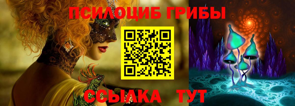 наркота  Вход с VPN  Елизово  Галлюциногенные грибы прущие грибы 